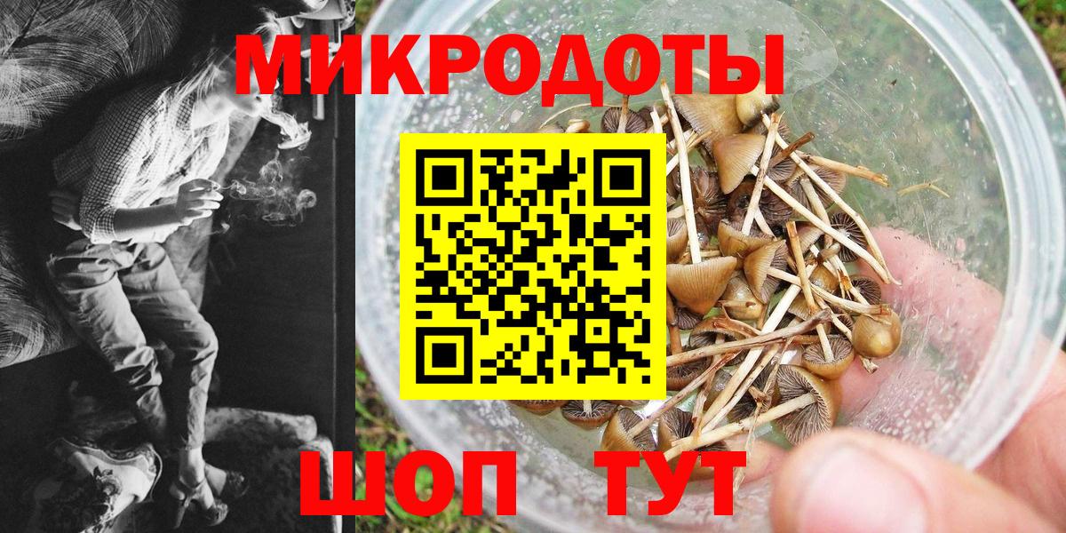 Новошахтинск  Псилоцибиновые грибы GOLDEN TEACHER  Вход с VPN  Галлюциногенные грибы прущие грибы 